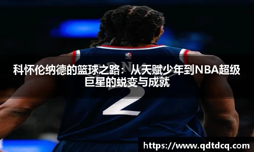 多多28
