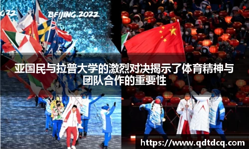 多多28官网
