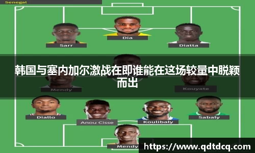 韩国与塞内加尔激战在即谁能在这场较量中脱颖而出