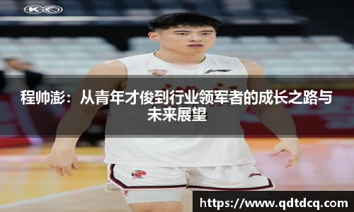 程帅澎：从青年才俊到行业领军者的成长之路与未来展望