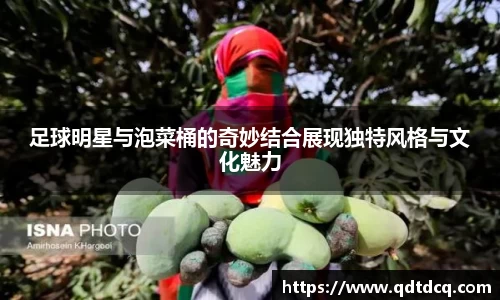 星空·综合体育官方网站