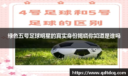 星空·综合体育官方网站